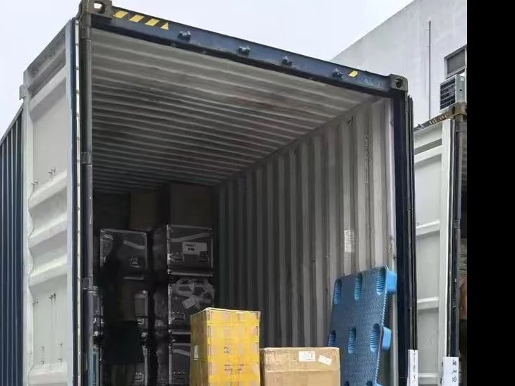 Cartons being loaded into an ocean container